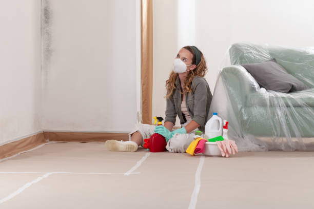 Reliable Black Mold Removal contractor in Manchester, MD by WQB Mold Removal